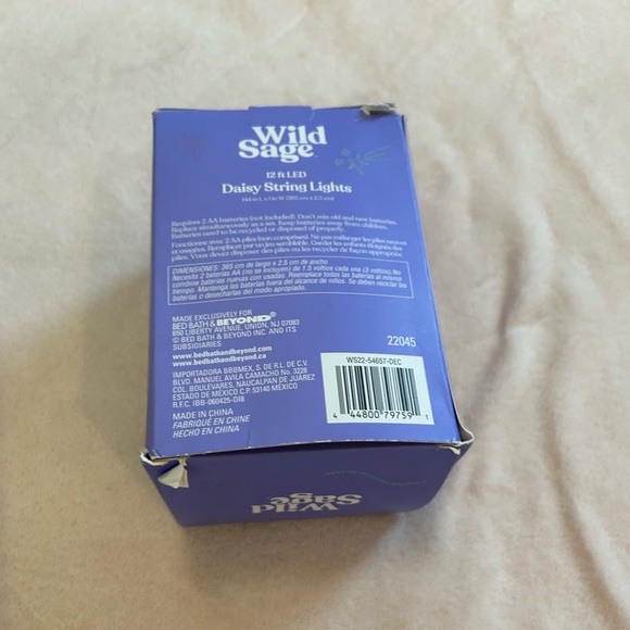 Wild Sage Daisy String Lights - Picture 4 of 7